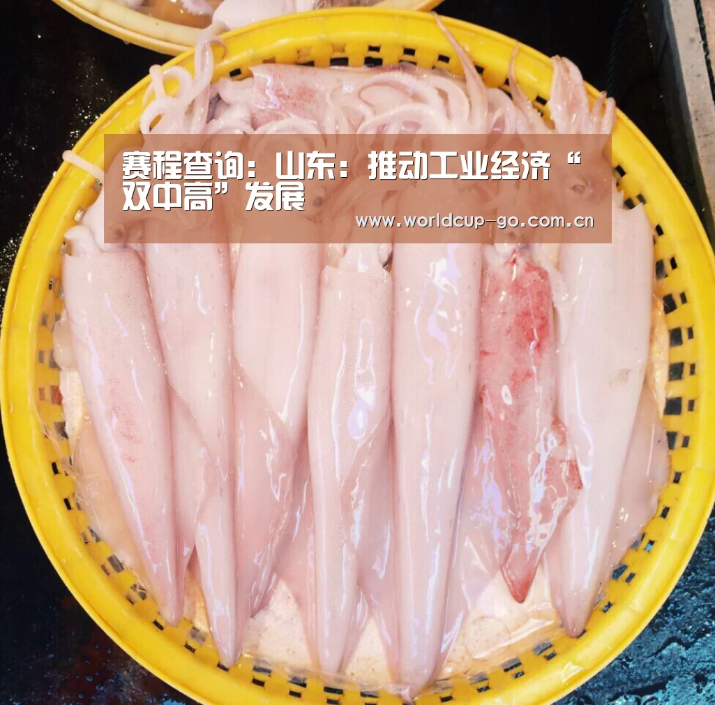 赛程查询